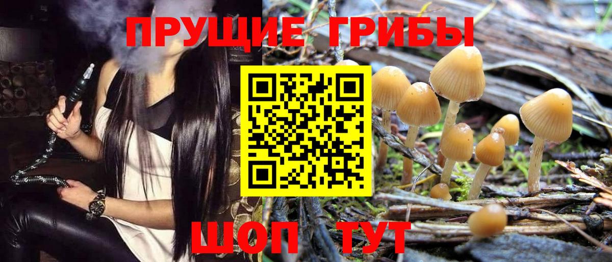 Галлюциногенные грибы мицелий Самара